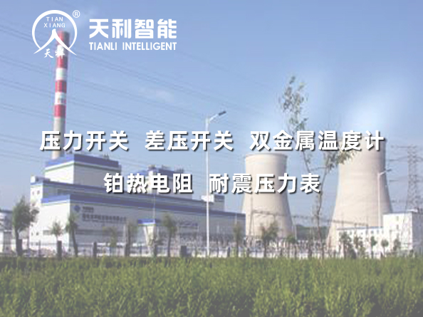 国电吉林龙华长春热电一厂2*350MW超临界机组给水