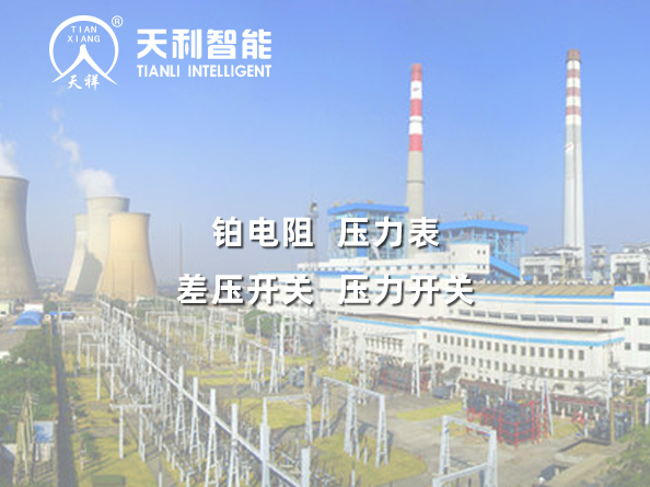茂名热电厂1*600MW机组工程