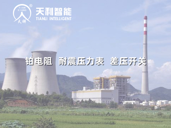 华润电力温州有限公司一期2*1000MW燃煤超超临界机