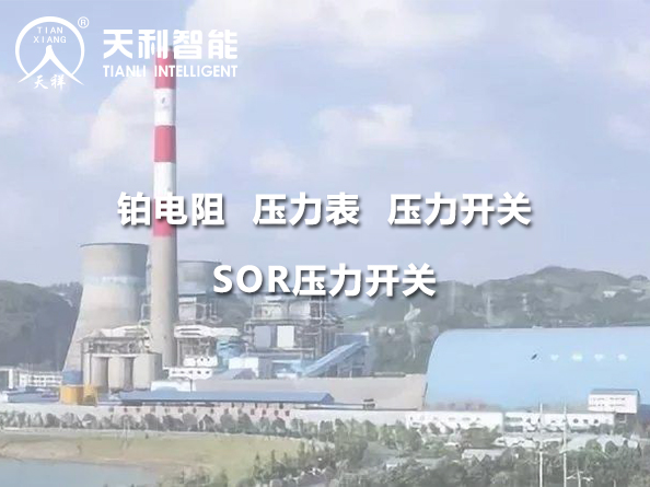 贵州华电桐梓发电有限公司2*600MW机组项目